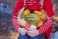 Beautiful diverse pumpkins in the hands of a girl