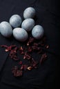 Beautiful DIY blue painted Easter eggs, dry Hibiscus tea flowers. Easter black fabric background. Vertical close up shot Royalty Free Stock Photo