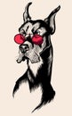 Beautiful doberman dog with red sunglasses Royalty Free Stock Photo
