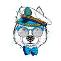 A beautiful dog in captain`s cap, glasses and tie. Vector illustration for a postcard or poster, print on clothes. Purebred puppy. Royalty Free Stock Photo