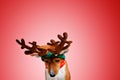 Beautiful dog wering christmas costumes Royalty Free Stock Photo