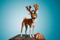 Beautiful dog wering christmas costumes Royalty Free Stock Photo