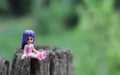 Beautiful doll, natural background Royalty Free Stock Photo