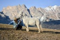 The horse kiss the amazed woman Royalty Free Stock Photo