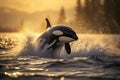 Killer whale Orca jumping out of water at sunset. Amazing wild life. Generative Ai