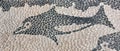 Dolphin pattern made of sea pebbles