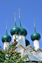 Beautiful domes of orthodox church with an apple-tree branch before them.