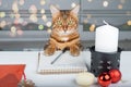 A Beautiful Domestic Cat Is Writing A Letter To Santa Claus At The Table