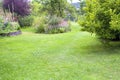 Beautiful domestic garden or backyard landscape. Big lawn, flowers, fruit trees and a place for vegetables to grow.