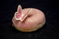 Beautiful donut covered with pink chocolate and decorated with a beautiful butterfly