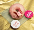 Beautiful donut covered with pink chocolate and decorated with a beautiful butterfly , view from above