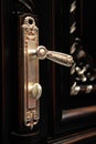 Beautiful door handle closeup