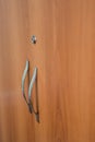 Beautiful doors of cupboard with keyhole and door handle from brass close-up Royalty Free Stock Photo