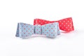 Beautiful dotted bow ties for girls. Royalty Free Stock Photo