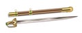 Beautiful Double-edged Straight Sword Jian Vector