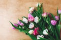 Beautiful double peony tulips flat lay on wooden table, space for text. Colorful pink and purple tulips. Happy mother`s day. Royalty Free Stock Photo