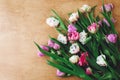 Beautiful double peony tulips flat lay on wooden table, space for text. Colorful pink and purple tulips. Happy mother`s day. Royalty Free Stock Photo