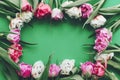 Beautiful double peony tulips frame flat lay on green paper, space for text. Happy mother`s day. International women`s day. Hell Royalty Free Stock Photo