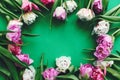 Beautiful double peony tulips frame flat lay on green paper, space for text. Happy mother`s day. International women`s day. Hell Royalty Free Stock Photo