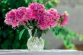 Beautiful double pink peony in glass transparent vase outdoor with beautiful background in a summer. Royalty Free Stock Photo