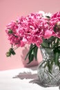 Beautiful double pink peony in glass transparent vase outdoor on pink background in a summer. Royalty Free Stock Photo