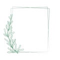 Beautiful double rectangular frame with a graceful elongated branch with sheets, vector illustration.