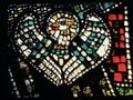 A beautiful dove on stained glass in Saint Barbara`s Church in Gdansk - ROMAN CATHOLIC - MARTYR