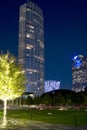 Beautiful downtown of Dallas night scenes