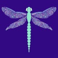 Beautiful dragonfly with colorful wings. Isolated on blue. Hand