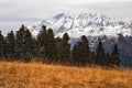 Beautiful dramatic autumn mountain forest and snowy Agepsta peak scenery with fir trees and yellow grass meadow. West Caucasus, Royalty Free Stock Photo