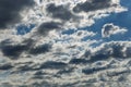 Beautiful dramatic cloud scape with greyish-white altocumulus clouds and silhouettes of flying swallows in a summer morning