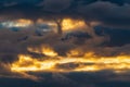 Beautiful dramatic clouds in sky illuminated by rays of sun at sunset to change weather. Colorful summer cloudscape Royalty Free Stock Photo