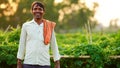 Beautiful dramatic portrait of Indian rural happy farmer standing in field wearing shirt pant in summer time