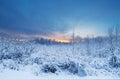 Beautiful and dramatic winter sunset landscape scenery with tree