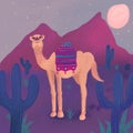 Beautiful drawing of a camel in a desert during the night