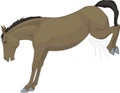 Beautiful drawing, horse of farm Royalty Free Stock Photo