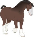 Beautiful drawing, horse of farm Royalty Free Stock Photo