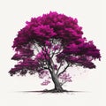 Beautiful drawing of a purple tree. Huge with lots of branches!