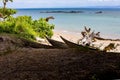 Beautiful dream paradise beach, Madagascar Royalty Free Stock Photo