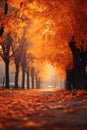 beautiful fall season nature