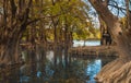 Beautiful dreamy landscape, of a lake surrounded by trees.