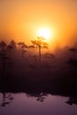 A beautiful, dreamy morning scenery of sun rising above a misty marsh. Colorful, artistic look. Royalty Free Stock Photo