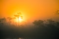 A beautiful, dreamy morning scenery of sun rising above a misty marsh. Colorful, artistic look. Royalty Free Stock Photo