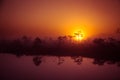 A beautiful, dreamy morning scenery of sun rising above a misty marsh. Colorful, artistic look. Royalty Free Stock Photo