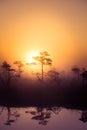 A beautiful, dreamy morning scenery of sun rising above a misty marsh. Colorful, artistic look. Royalty Free Stock Photo