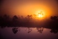 A beautiful, dreamy morning scenery of sun rising above a misty marsh. Colorful, artistic look. Royalty Free Stock Photo