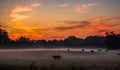 Beautiful dreamy sunrise on the farm land in the country