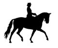 Dressage horse silhouette ~ Royalty Free Stock Photo