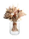 Beautiful dried flower bouquet in glass vase isolated on white Royalty Free Stock Photo