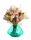 Beautiful dried flower bouquet in glass vase isolated on white Royalty Free Stock Photo